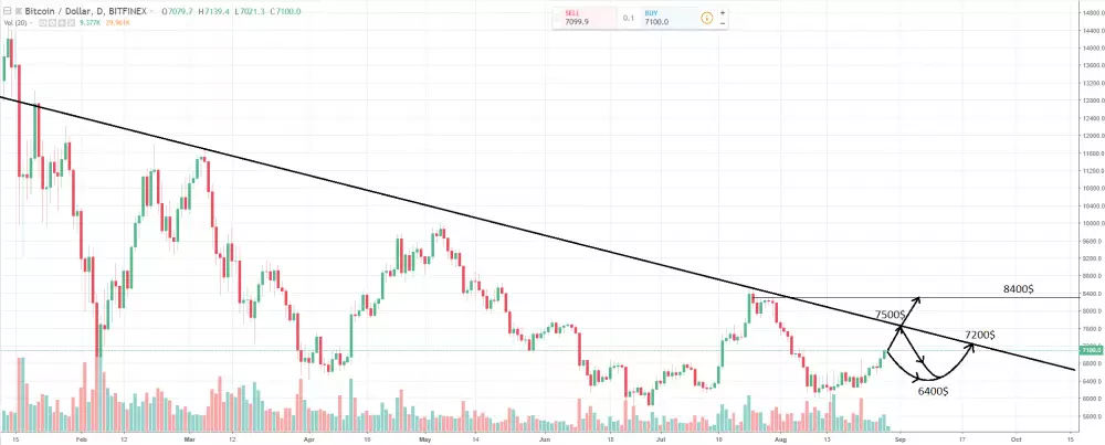 1D BTC/USD 29.8.2018 - Bitfinex