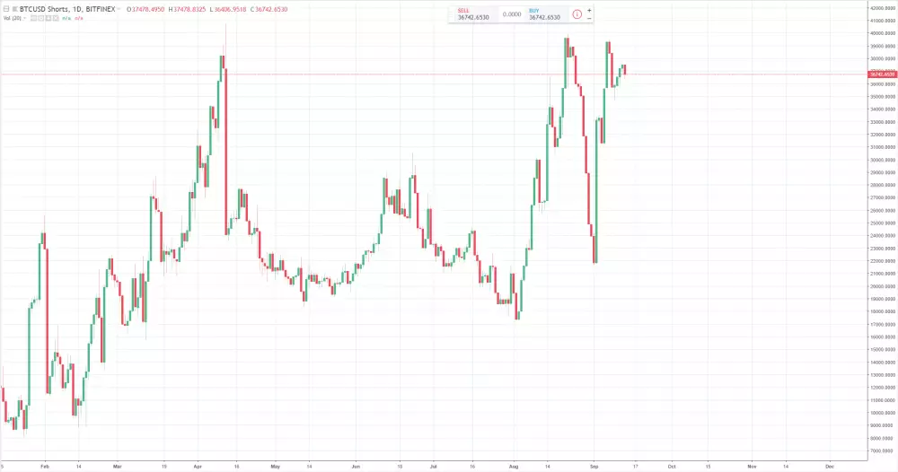1D BTC/USD shorts - Bitfinex