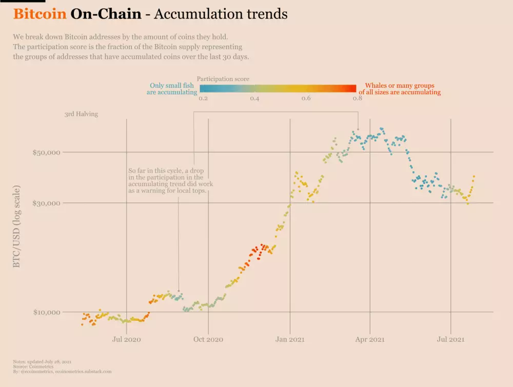 Akumulácia Bitcoinu za posledných 12 mesiacov. Zdroj: Coinmetrics