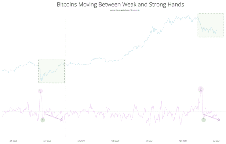 Presuny Bitcoinov. Zdroj: Willy Woo Newsletter