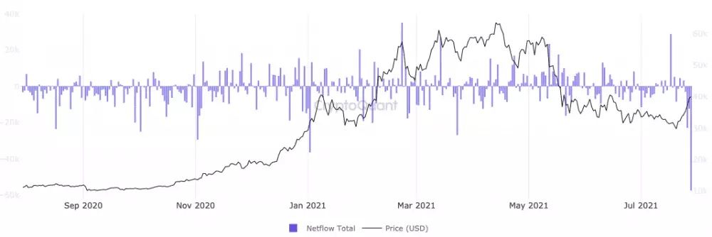Toky BTC. Zdroj: CryptoQuant