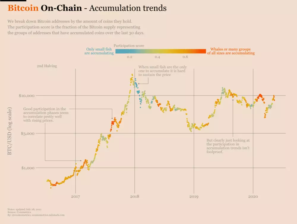 Akumulácia Bitcoinu. Zdroj: Coinmetrics