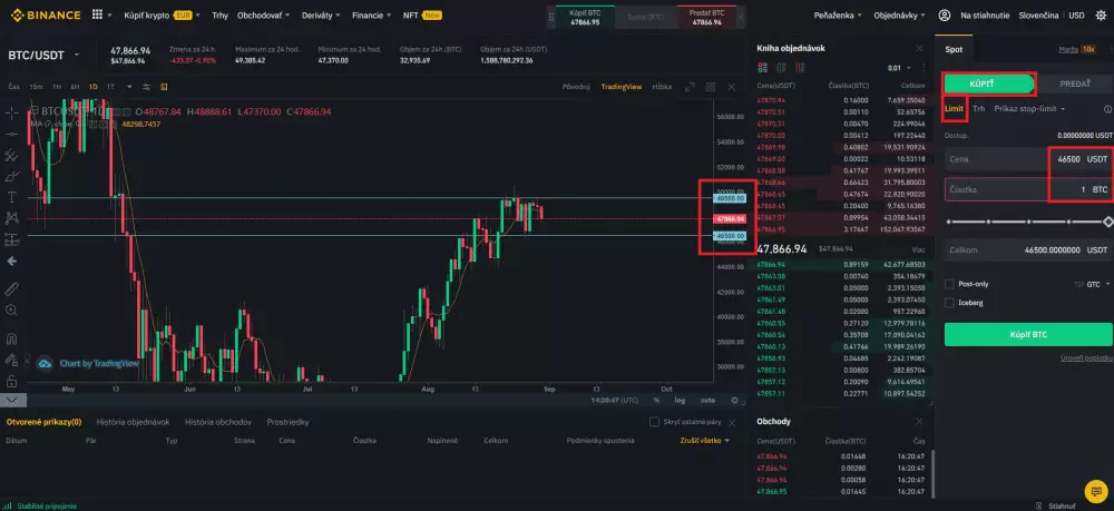 Limitný príkaz na nákup. Zdroj: Binance