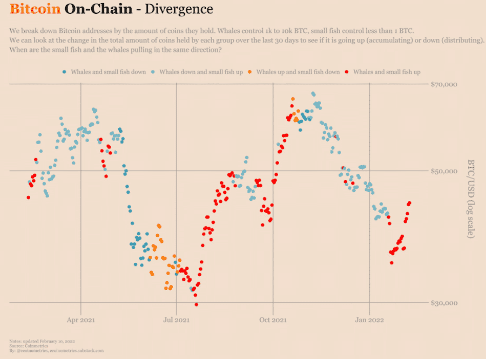 Divergencia Bitcoinu.