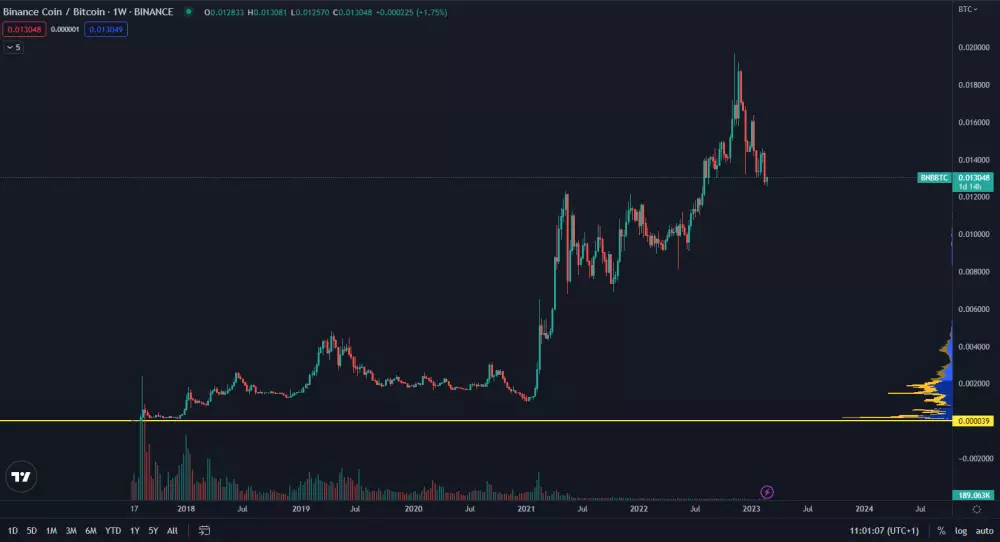 Binance coin raketovo stúpol