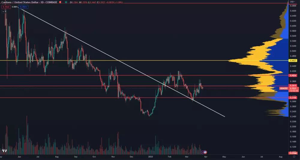 Cardano opäť stúpa
