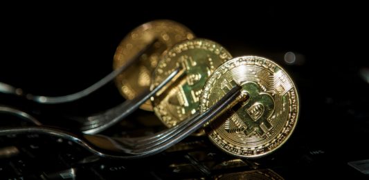 Hardforky hlavných kyptomien vám (ne)musia priniesť vysoké zisky.