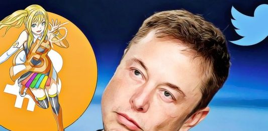 elon musk twitter bitcoin