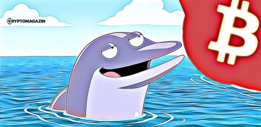 bitcoin whale veľryba