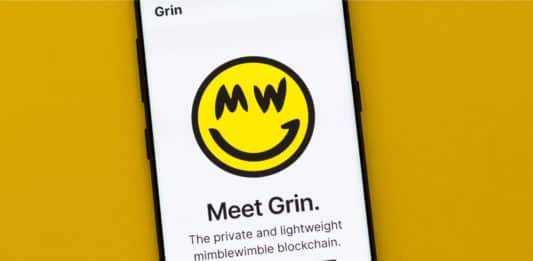 Nová hviezda na poli kryptomien – GRIN