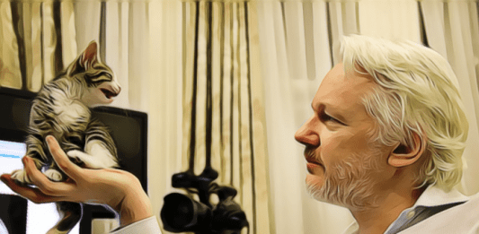 Julian Assange wikileaks