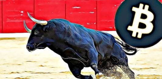 bitcoin bull