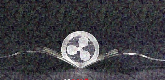 developer XRP Ripple