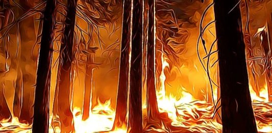 Amazonský prales - požiar