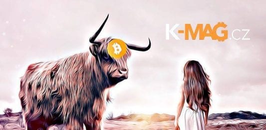 bull bitcoin