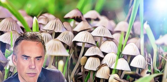 psylocibín, hubicky jordan peterson vyskum video