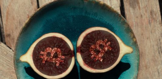 Bitcoin, halving, polenie, half, BTC, svieca