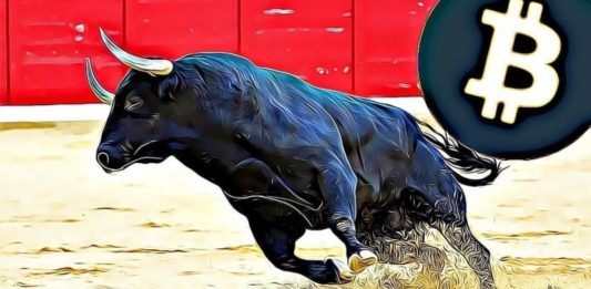 Bitcoin - Bitcoinoví býci