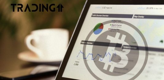 BTC-Bitcoin-graf-statistika