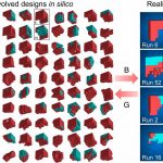 Uk&aacute;žka jednej poč&iacute;tačovej gener&aacute;cie mikroorganizmov