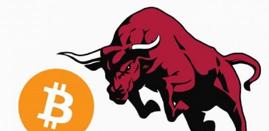 btc bull