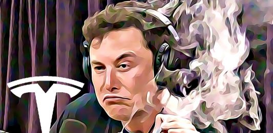 elon musk fajci marihuanu joe rogan