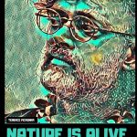 terrence mckenna