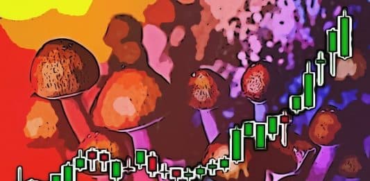 psychedelicke akcie rastu boom 2020 psilocybin