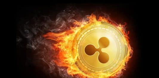 XRP Ripple