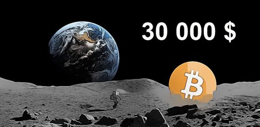 Bitcoin 30 000 $ moon