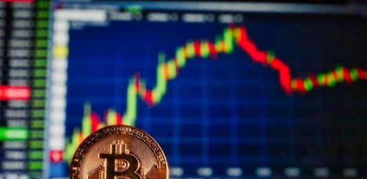 Bitcoin medvede a býci