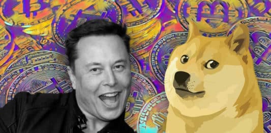 doge elon
