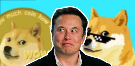 elon musk doge