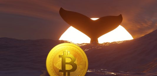 Kryptomenoví milionári