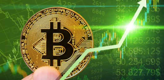 Ktoré kryptomeny urobia najväčší zisk