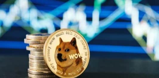 Popularita DOGE rastie